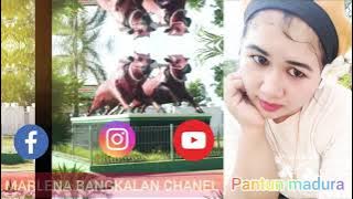 video tiktok viral .PANTUN MADURA  marlena bangkalan