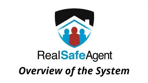 Overview of the Real Safe Agent System