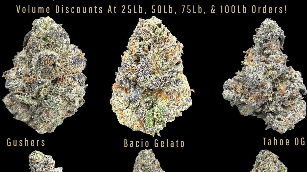 Absolute Cheapest Wholesale Legal THCA Flower, $350/Lb Mixed Deps, $702.50/Lb Exotic Indoor Smalls