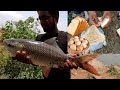 Fish hunting||big rohu fish