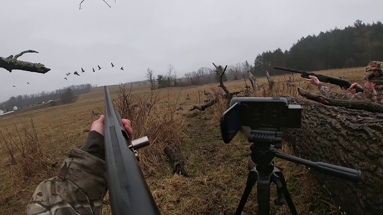 CANADIAN GEESE HUNTING ( CENTRAL PA) YouTube
