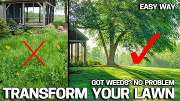 First Step to Fixing an Ugly Lawn - Where to Start