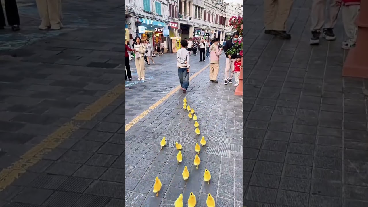 ПОТРЯСАЮЩИЙ ГАДЖЕТ ✨ / 