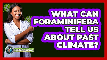 What Can Foraminifera Tell Us About Past Climate? - Earth Science Answers