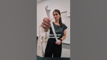 Is this a right or left ulna? #anatomy #humananatomy #anatomyandphysiology #anatomyquiz #stem