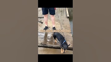 This dock needs railing 🎥: leaannschroeder IG (video submission) #shorts