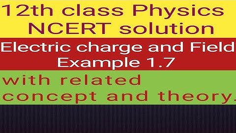 12th physics NCERT Example 1.7