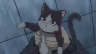 finale episode my roommate is cat English dub