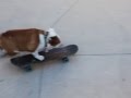 Maggie May Riding in Skateboard Park-