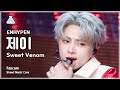 [예능연구소] ENHYPEN JAY - Sweet Venom(엔하이픈 제이 - 스위트 베놈) FanCam | Show! MusicCore | MBC231118방송