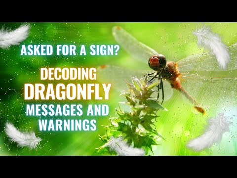 Dragonfly Spirit Guide – Decoding Dragonfly Messages