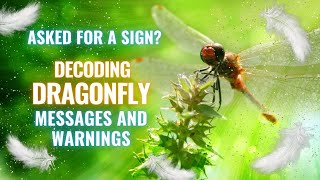 Dragonfly Spirit Guide – Decoding Dragonfly Messages