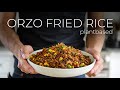 THE ORZO FRIED RICE FUSION RECIPE NOBODY ASKED FOR