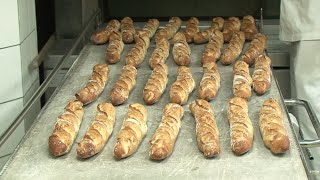 Dans les coulisses de nos boulangeries