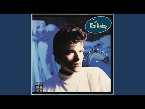 I Backed A Winner (In You)