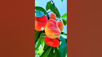 لا أعلم عن الصوت ولكن التلاوة تفوق الخيال وخشوع لا يوصف
