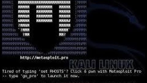 17. Использование различных пэйлоадов Payloads