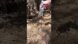 Rebar drink holder. Land of the pines. I bent the rebar with leverage on a jig I made. #shorts #diy