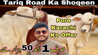 Tariq Road Ka Shoqeen ❤️ Sirf 1 Lakh 50 Hazar Se ❤️ || Kam Range Kam Pareshani || Cow Mandi 2024