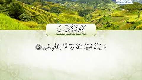 تلاوة مباركة من سورة ق | القارئ ياسر سرحان الديب من مصر