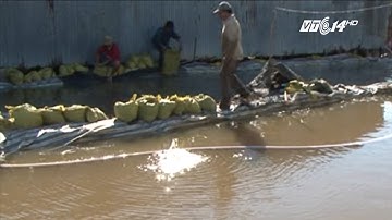 (VTC14)_Bãi nghêu đất Mũi lại "dậy sóng"