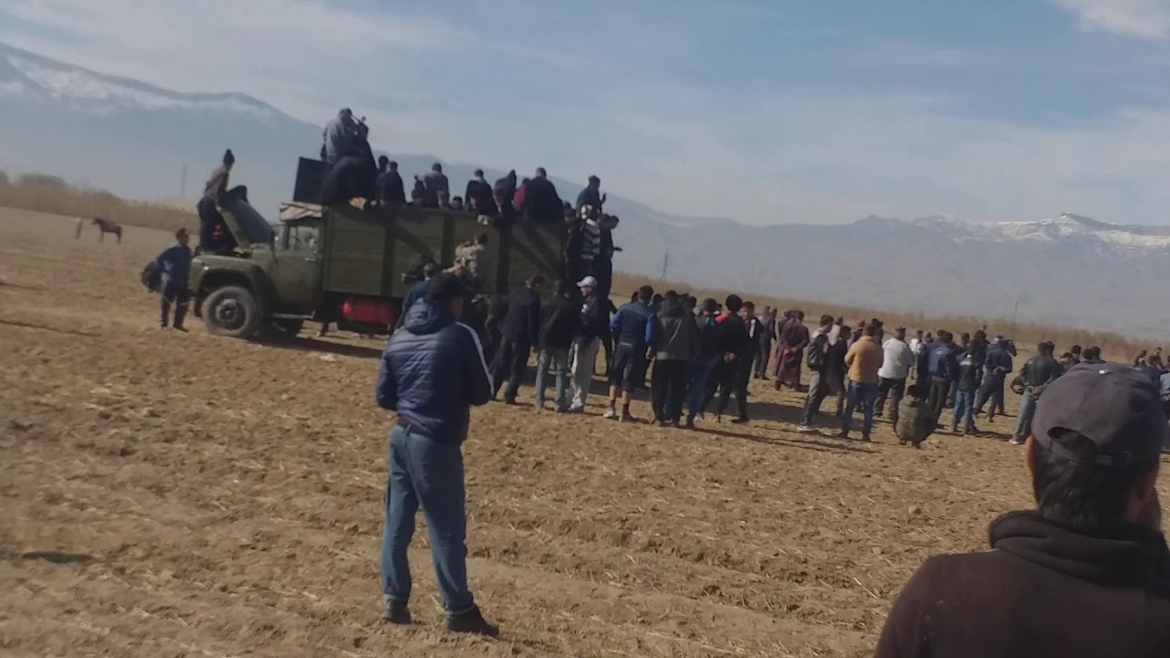 Kopkari 2024. Kopkari 2022. Kopkari2023. Kopkari Jizzax. Kopkari 2022 Jizzax