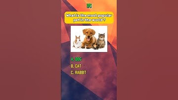 General Knowledge Quiz Can you get 5 out of 5 #quiz #gkquiz