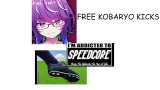 2 Kobaryo Speedcore Kicks For Stinky Speedcore Producers