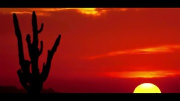 سورة الغاشية :  عمر القزابري  Quran Karim - Surat Al-Ghashiya