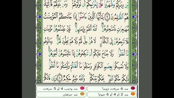 سورة الممتحنة: تفصيل الأحكام من الآية 9 إلى الآية 10برواية حفص عن عاصم 🌴🦜.