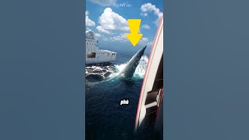 Cá mập Megalodon, có đang lẩn trốn trong đại dương không?.. #animals #megalodon