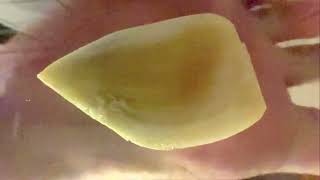 Barefoot Stomp Slow Motion Elephant Garlic Smash From Under Plexigl Sole View
