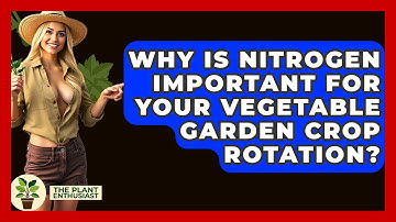 Why Is Nitrogen Important For Your Vegetable Garden Crop Rotation? - The Plant Enthusiast