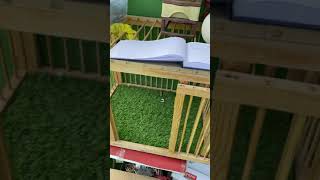 Cakllara Yer Yok. Adam Olana Herzamn. Kapim Açik