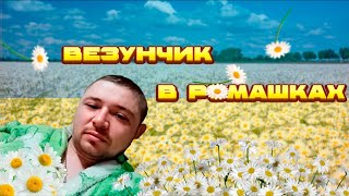 Везунчик В Ромашках