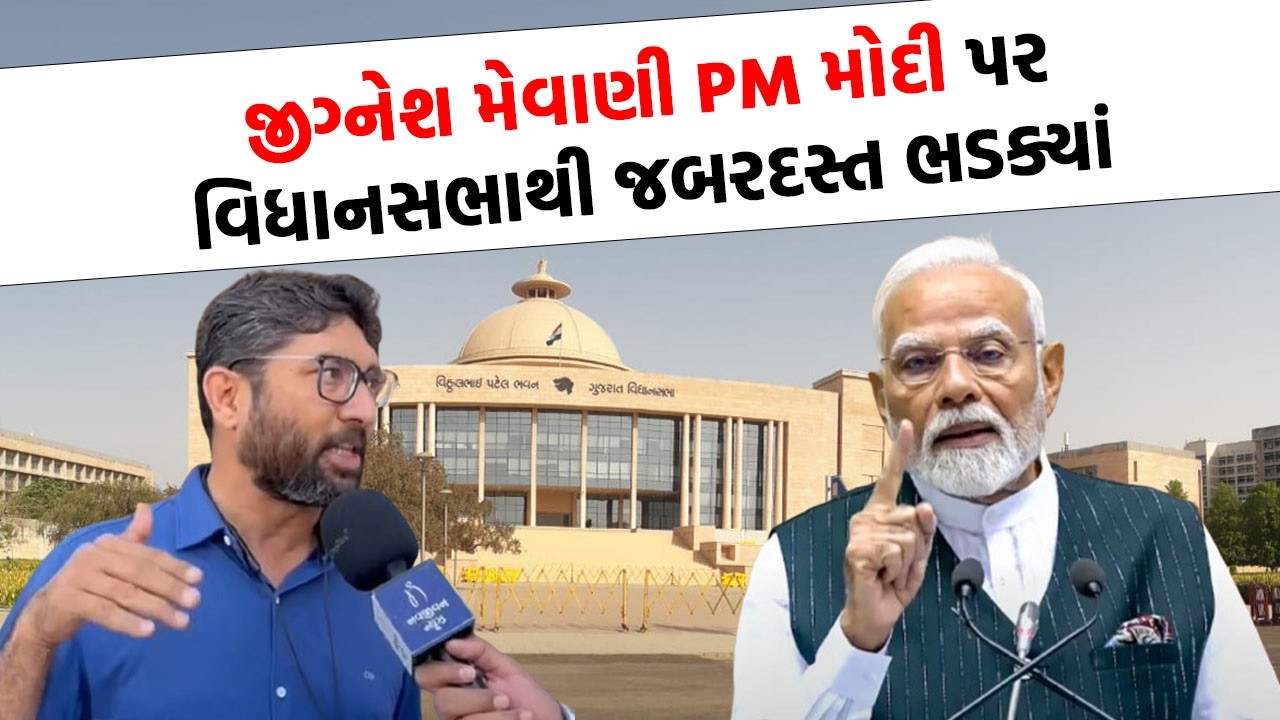 Jignesh Mevani ની લોહી ઉકળી ઉઠ્યુ, PM Modi ને વિધાનસભાથી સંભળાવી દીધુ...