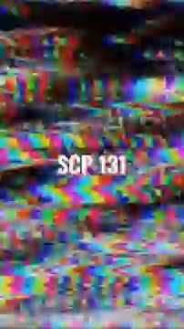 SCP 131