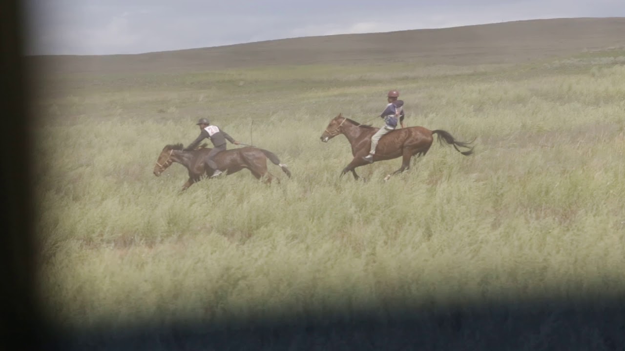 Аът чарыжы рисунки