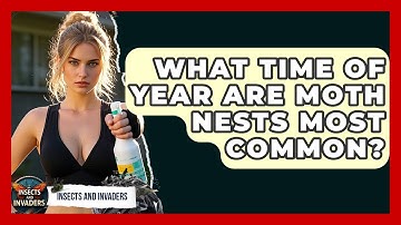What Time Of Year Are Moth Nests Most Common? - Insects and Invaders