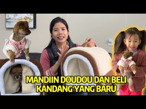 UNBOXING RUMAH DAN BAJU TEBAL UNTUK ANAK BULU (DOUDOU)