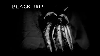 ACOD  Black Trip (Official Lyric Video)