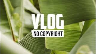 Notiluz - Euphoria (Vlog No Copyright Music)