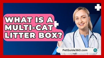 What Is A Multi-cat Litter Box? - PetGuide360.com