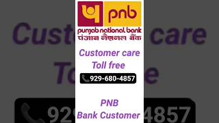 #Punjab National Bank customer care number Punjab National Bank helpline number PNB toll free number