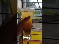 aam panna recipe#kitchen #summerdrink  #aampanna #refreshingdrink  #mocktail#trending