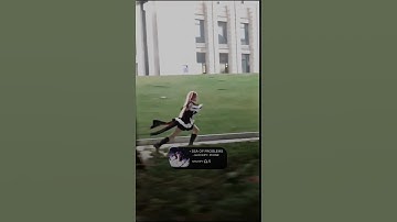 GLICHERY - SEA OF PROBLEMS - KRUL TEPES SKATEBOARDING COSPLAY   | #trend #dance #shorts #tiktok #fyp