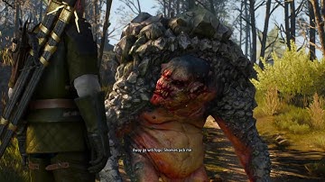 Witcher 3: Wild Hunt Ep.37 (Side Quest:A Deadly Plot)