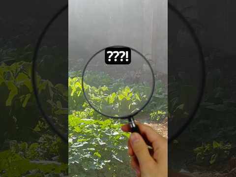 علي الصبح Morning Time معلومة اكسبلور Mountainflight Nature Skimountain 