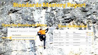 Standards Mastery Report