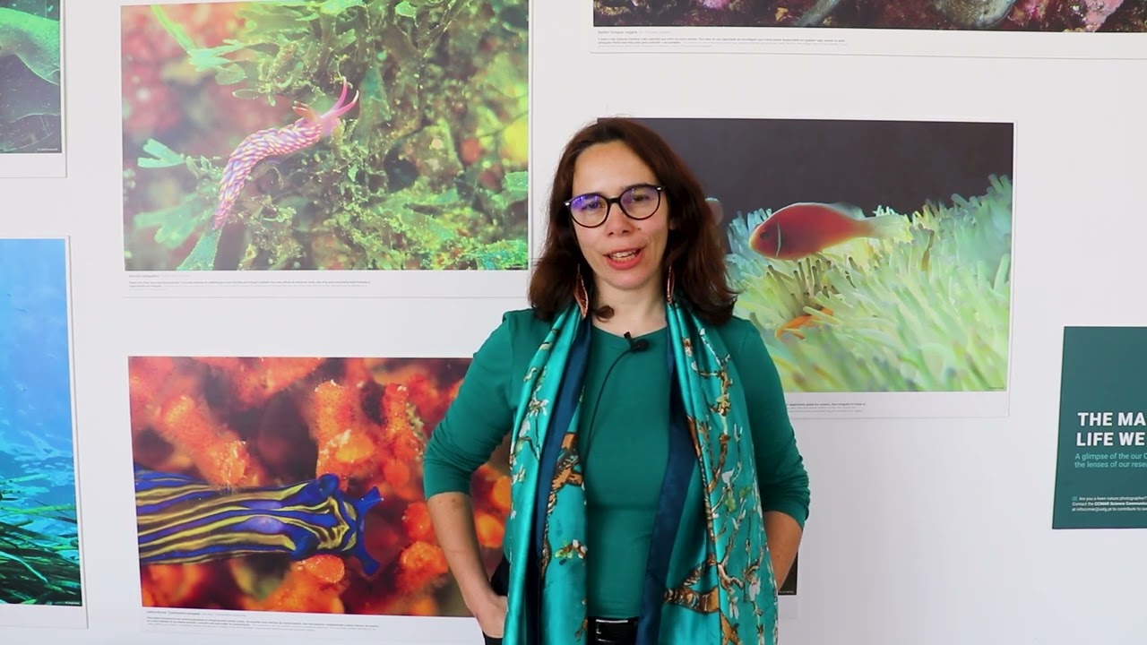 MicroFish Project Impact